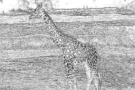 giraffe Maimprinta Nga Mga Panid Sa Kolor
